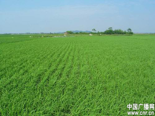 點擊瀏覽下一頁