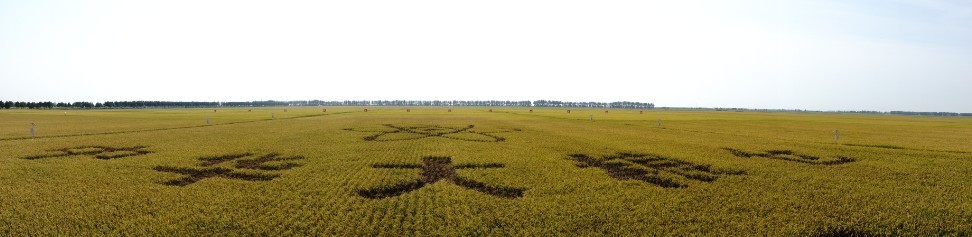 點(diǎn)擊瀏覽下一頁(yè)