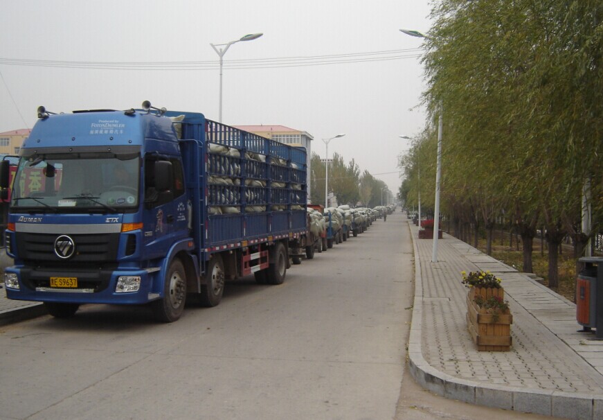 點(diǎn)擊瀏覽下一頁