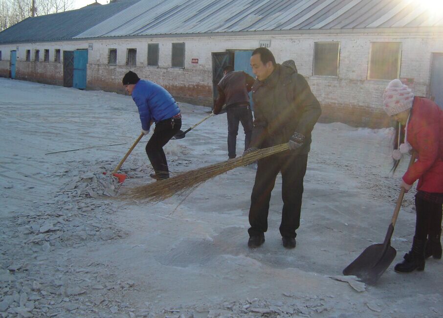 點(diǎn)擊瀏覽下一頁