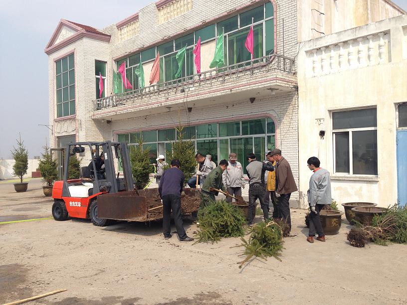 點(diǎn)擊瀏覽下一頁