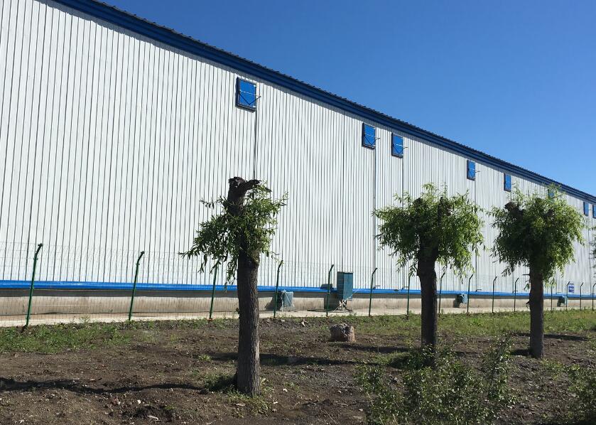 點擊瀏覽下一頁