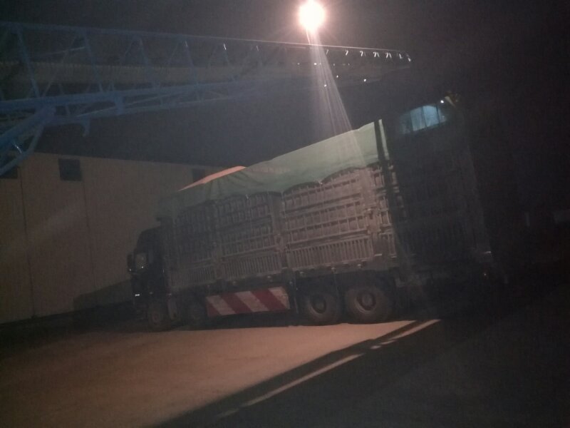 點擊瀏覽下一頁