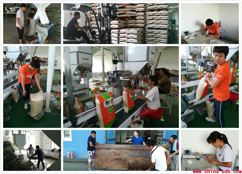 點(diǎn)擊瀏覽下一頁